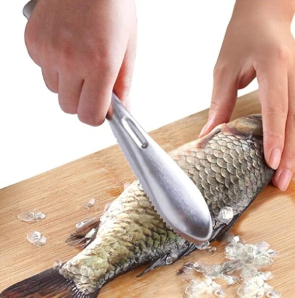 Stainless steel fish scale scraping tool, descaler, scale remover fish