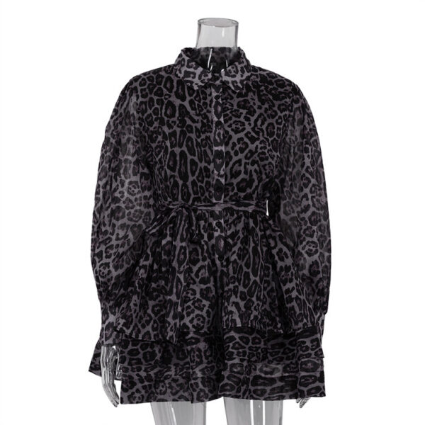 Chiffon Leopard Print Long Sleeve Dress - Image 4